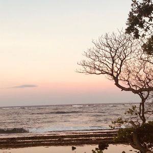 Meet your Posher, Lea